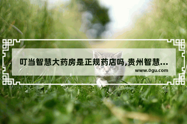 叮当智慧大药房是正规药店吗,贵州智慧药房加盟品牌