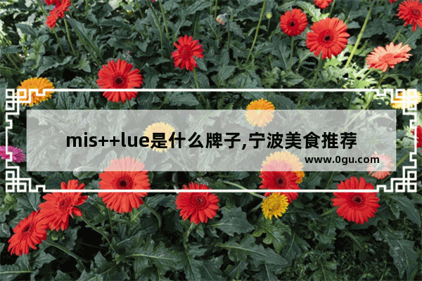 mis++lue是什么牌子,宁波美食推荐港式茶楼加盟