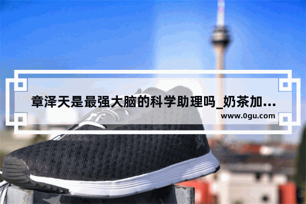 章泽天是最强大脑的科学助理吗_奶茶加盟宣传发布会的坑