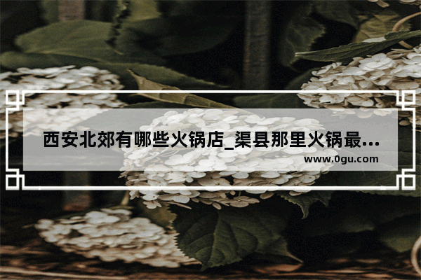 西安北郊有哪些火锅店_渠县那里火锅最好吃