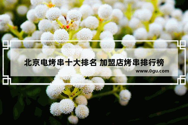 北京电烤串十大排名 加盟店烤串排行榜