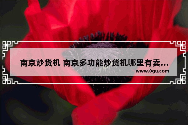 南京炒货机 南京多功能炒货机哪里有卖？炒板栗机也叫炒瓜子机吗炒花生机是不是一种机器,吉安加盟电暖品牌