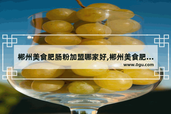 郴州美食肥肠粉加盟哪家好,郴州美食肥肠粉加盟哪家好