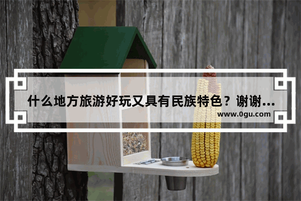 什么地方旅游好玩又具有民族特色？谢谢,河池奶茶加盟品牌店