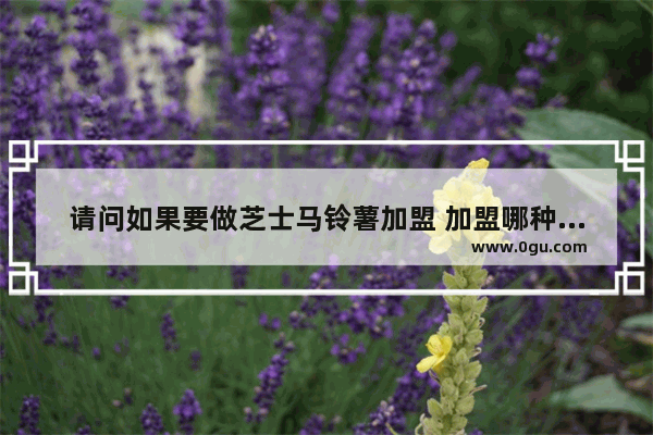 请问如果要做芝士马铃薯加盟 加盟哪种品牌比较赚钱,广州芝士焗虾美食店加盟