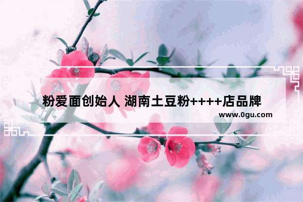 粉爱面创始人 湖南土豆粉++++店品牌