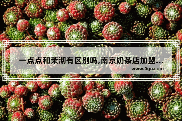 一点点和茉沏有区别吗,南京奶茶店加盟茉沏
