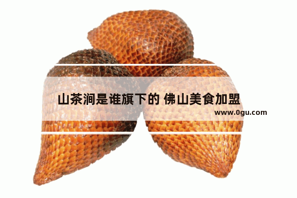 山茶涧是谁旗下的 佛山美食加盟