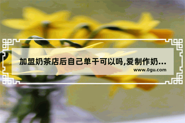 加盟奶茶店后自己单干可以吗,爱制作奶茶加盟