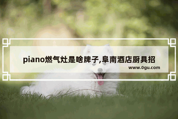 piano燃气灶是啥牌子,阜南酒店厨具招商加盟