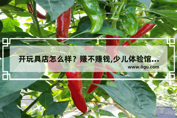 开玩具店怎么样？赚不赚钱,少儿体验馆加盟