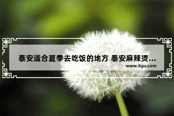 泰安适合夏季去吃饭的地方 泰安麻辣烫加盟店排行榜