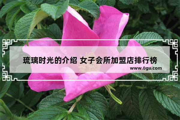 琉璃时光的介绍 女子会所加盟店排行榜
