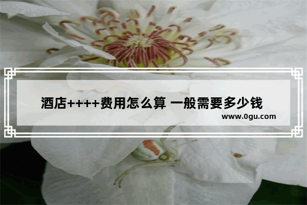 酒店++++费用怎么算 一般需要多少钱 商务酒店++++有哪些