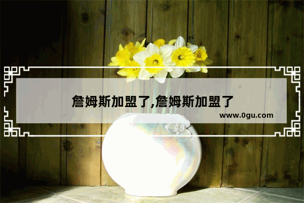 詹姆斯加盟了,詹姆斯加盟了