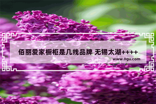 佰丽爱家橱柜是几线品牌 无锡太湖++++连锁酒店