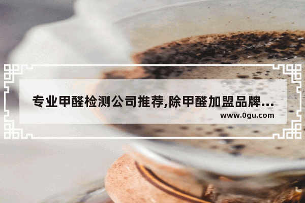 专业甲醛检测公司推荐,除甲醛加盟品牌怎么选择