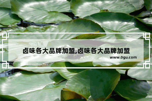 卤味各大品牌加盟,卤味各大品牌加盟