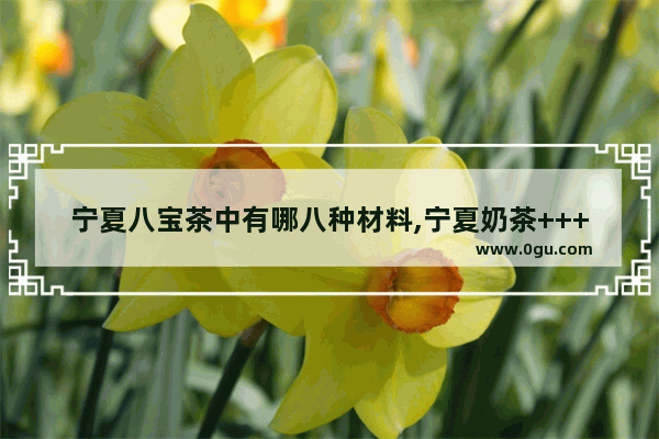 宁夏八宝茶中有哪八种材料,宁夏奶茶++++