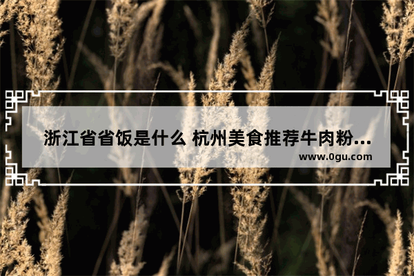 浙江省省饭是什么 杭州美食推荐牛肉粉加盟