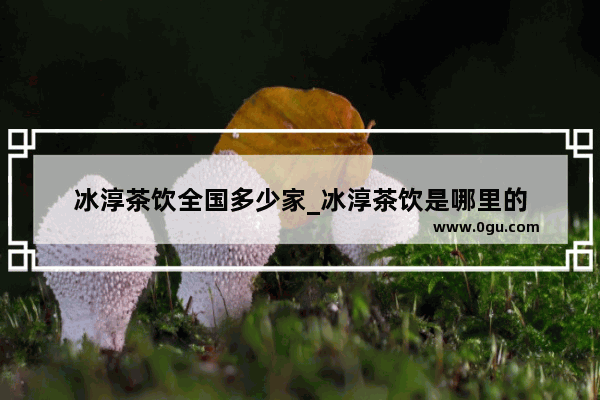冰淳茶饮全国多少家_冰淳茶饮是哪里的