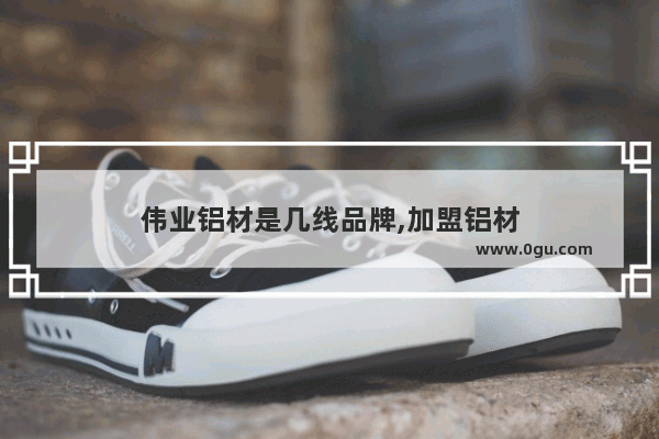 伟业铝材是几线品牌,加盟铝材