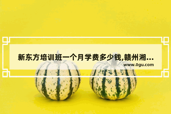新东方培训班一个月学费多少钱,赣州湘菜加盟品牌排行