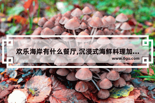 欢乐海岸有什么餐厅,沉浸式海鲜料理加盟店推荐