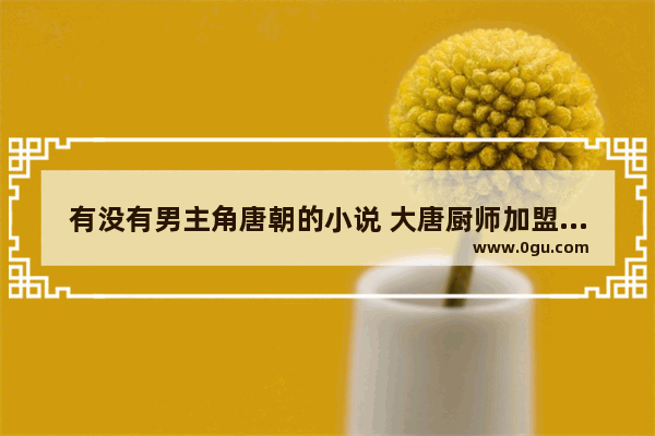 有没有男主角唐朝的小说 大唐厨师加盟店推荐