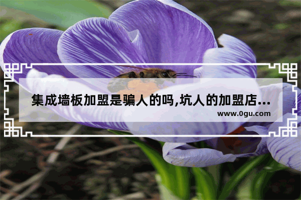 集成墙板加盟是骗人的吗,坑人的加盟店推荐