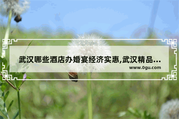 武汉哪些酒店办婚宴经济实惠,武汉精品酒店加盟费多少