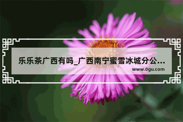 乐乐茶广西有吗_广西南宁蜜雪冰城分公司在哪里