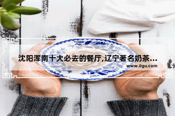 沈阳浑南十大必去的餐厅,辽宁著名奶茶加盟品牌