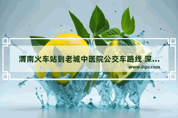 渭南火车站到老城中医院公交车路线 深圳中医院美食城招商加盟