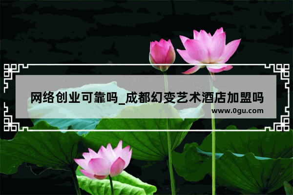 网络创业可靠吗_成都幻变艺术酒店加盟吗
