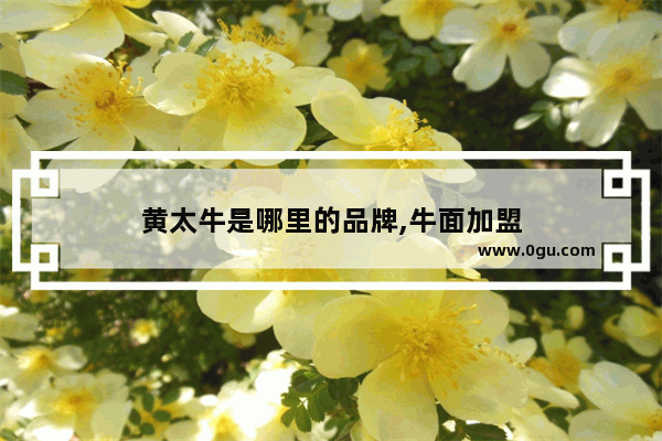 黄太牛是哪里的品牌,牛面加盟