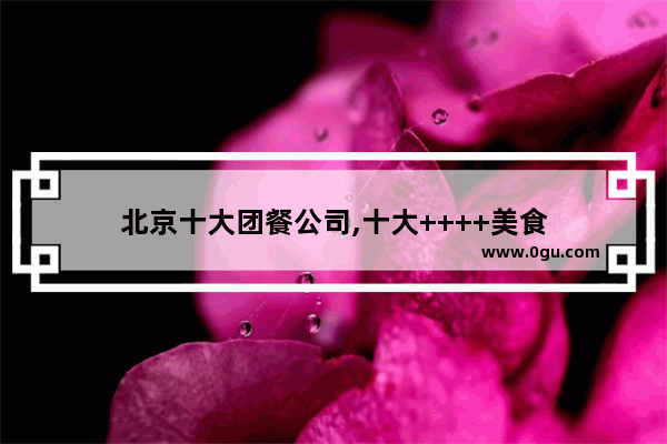 北京十大团餐公司,十大++++美食