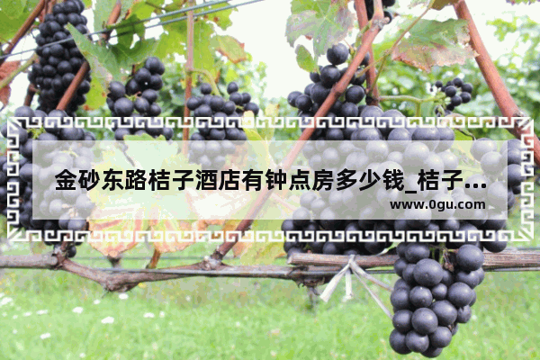 金砂东路桔子酒店有钟点房多少钱_桔子酒店是几星级的啊