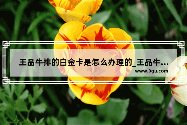 王品牛排的白金卡是怎么办理的_王品牛排套餐现在要多少钱一个人