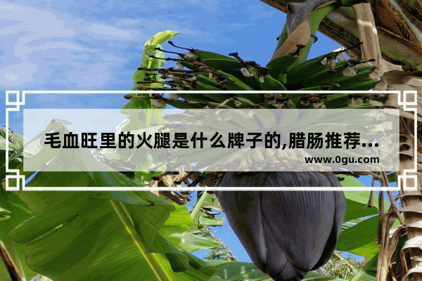 毛血旺里的火腿是什么牌子的,腊肠推荐麻辣烫加盟店吗