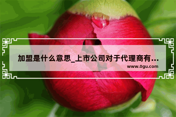加盟是什么意思_上市公司对于代理商有什么好处