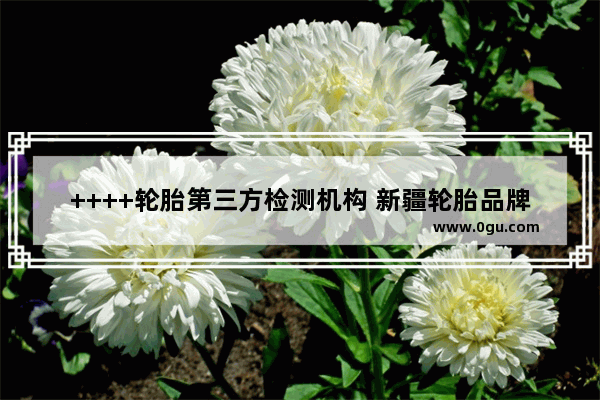 ++++轮胎第三方检测机构 新疆轮胎品牌加盟店排行榜