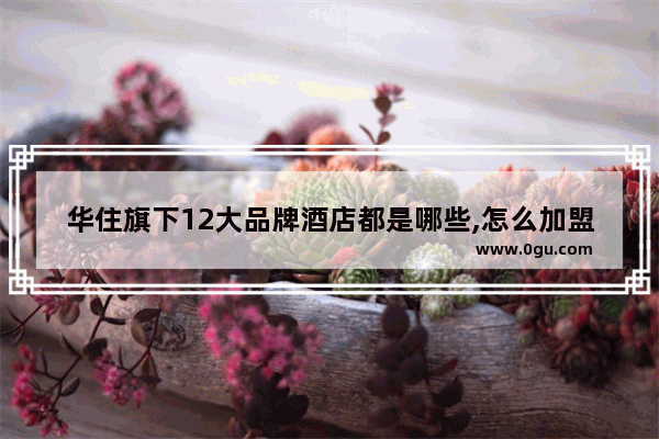 华住旗下12大品牌酒店都是哪些,怎么加盟华住酒店