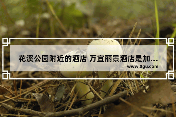 花溪公园附近的酒店 万宜丽景酒店是加盟酒店吗
