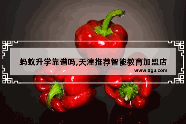 蚂蚁升学靠谱吗,天津推荐智能教育加盟店