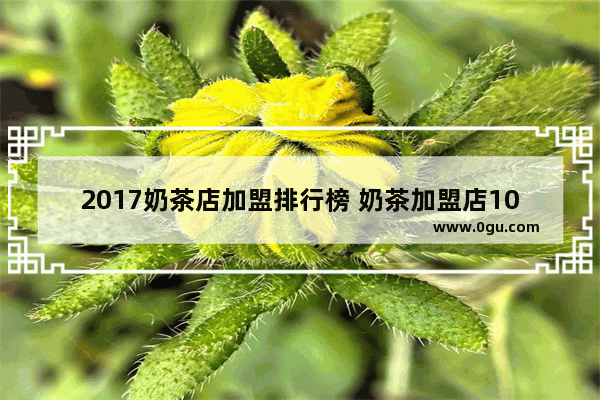2017奶茶店加盟排行榜 奶茶加盟店10大品牌 宴会酒店++++