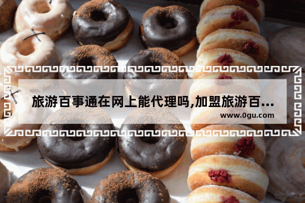 旅游百事通在网上能代理吗,加盟旅游百事通