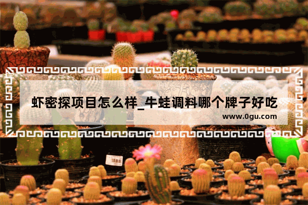 虾密探项目怎么样_牛蛙调料哪个牌子好吃