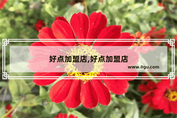 好点加盟店,好点加盟店