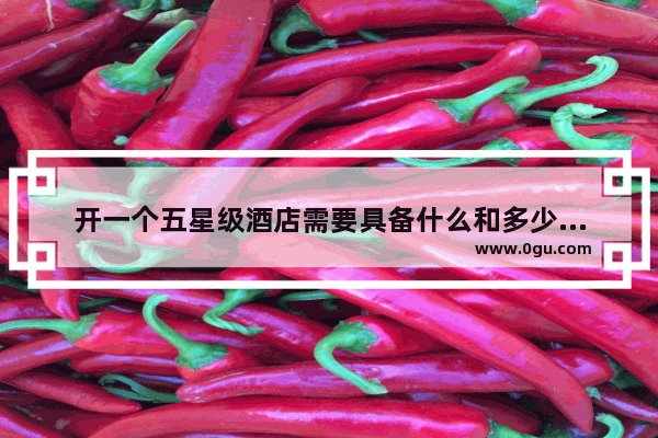开一个五星级酒店需要具备什么和多少资金 加盟个五星级酒店费用